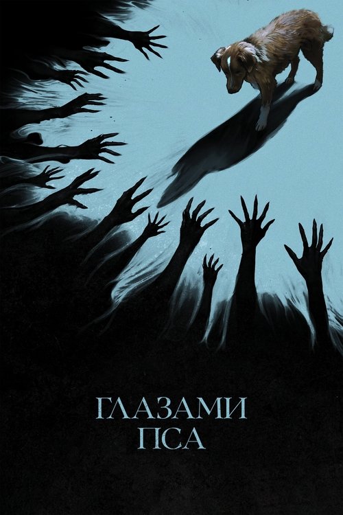 vash-film.ru | Где снимали: Глазами пса vash-film.ru | Где снимали: Глазами пса